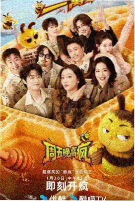 综艺视频在线观看